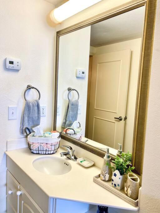 Spectacular Ocean View Apartment Daytona Beach Ngoại thất bức ảnh